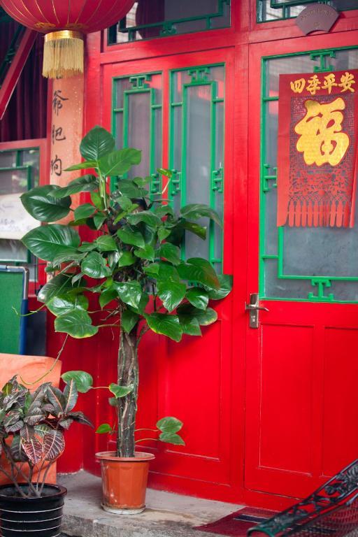 Sitting On The City Walls Courtyard House Hostel Beijing Bagian luar foto