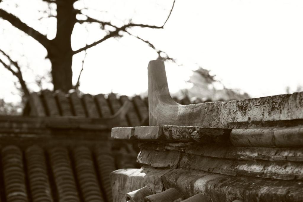 Sitting On The City Walls Courtyard House Hostel Beijing Bagian luar foto