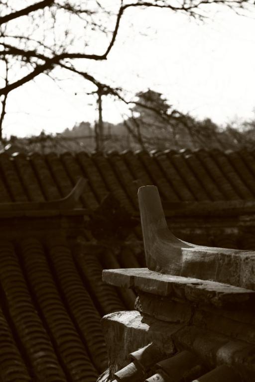 Sitting On The City Walls Courtyard House Hostel Beijing Bagian luar foto